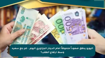 اليورو يحقق صعوداً ملحوظاً أمام الدينار الجزائري اليوم.. كم بلغ سعره وسط ارتفاع الطلب؟
